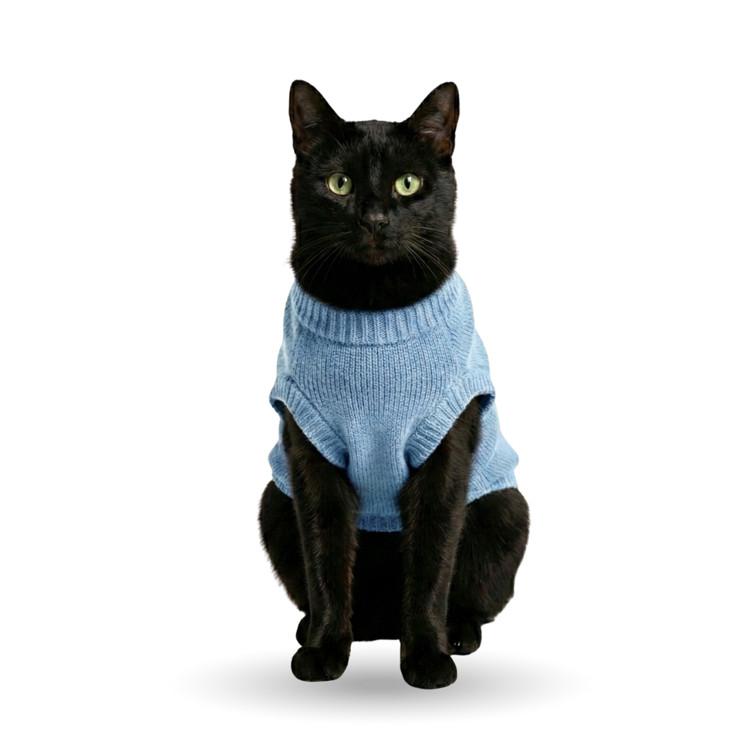 Gato da Rota da Pata
